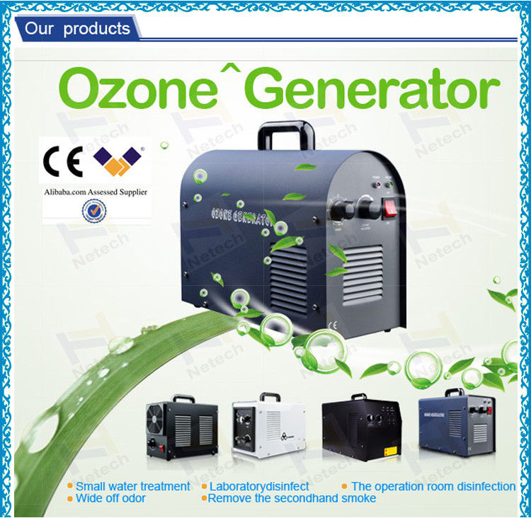 Air Cooling 110V 220V Car Ozone Odor Remove,  Car Air Purifier