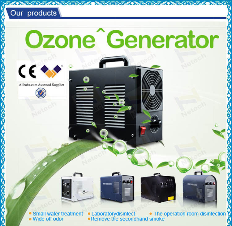 High Purity Household Room Ozone Generator For Cleaning Vegetables