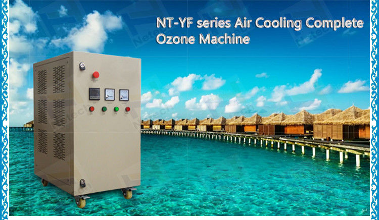 Industrial aquaculture ozone generator 15g for fish farming with PSA oxygen concentrator