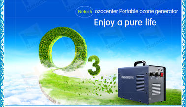 Hotels Portable Ceramic Air Ozone Purifier For Odor Removing